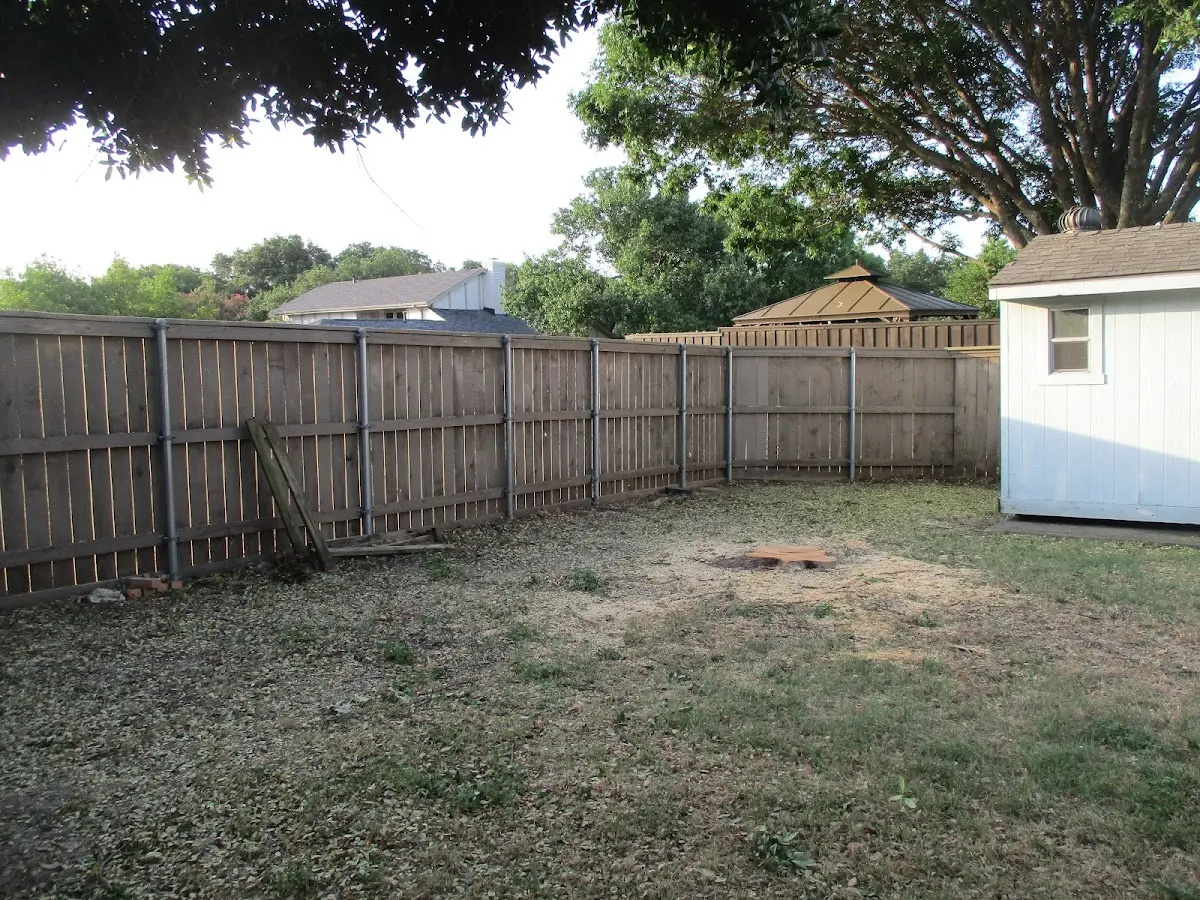 Cleared yard after professional tree removal in Batesville